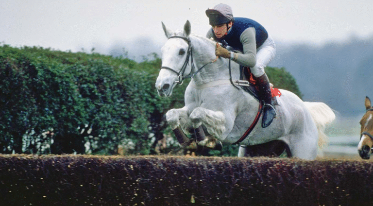 The Most Successful Racehorses of All Time