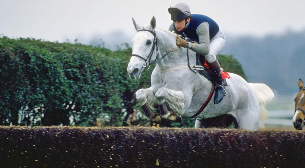 The Most Successful Racehorses of All Time