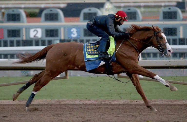 The Psychological Side of Horse Racing: How Athletes Prepare Mentally for Races