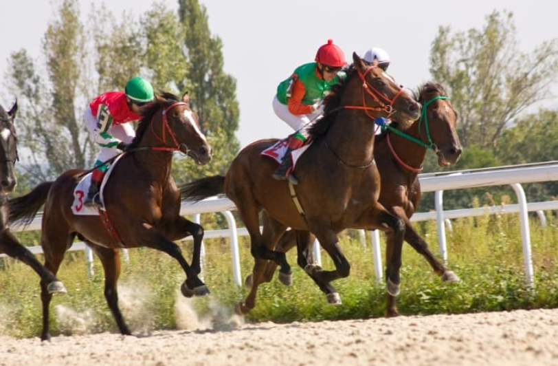 The Role of Breeding in Horse Racing: Why Pedigree Matters