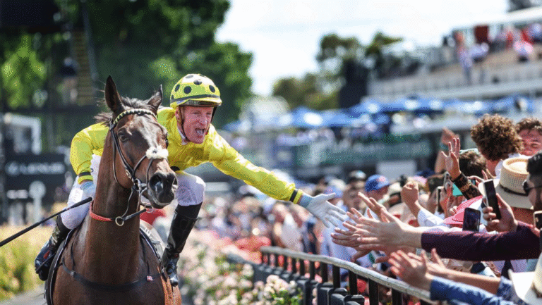 The Role of Jockeys: How They Help Racehorses Win